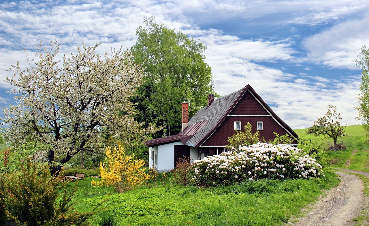 Making Your Cottage Garden a Safe Haven for Curious Cats