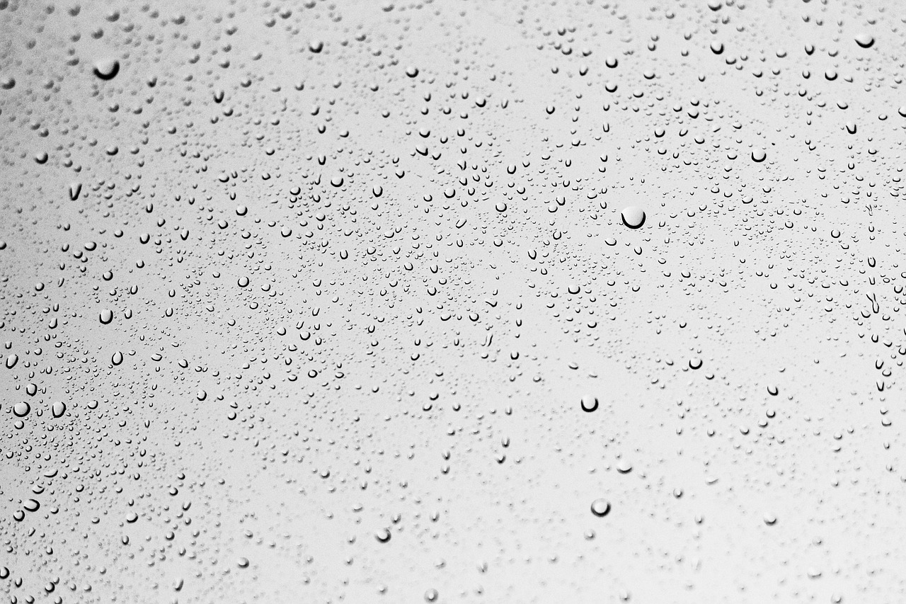 Rainy Days at the Cottage: Cozy Rituals for You and Your Cat